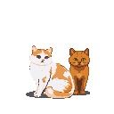 Pixel Art: white cat and orange cat