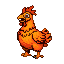 A fiery chicken with vibrant orange and red plumage, bright crimson comb and wattles, and a dark pupil within a blue iris.