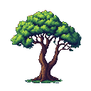 A solitary mature tree with a gnarled brown trunk splitting into two branches, supporting a dense green canopy.