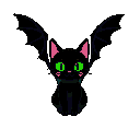 Stylized black cat with bat wings, large green eyes, pink blush, and teal collar against a black background.