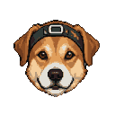 Friendly brown dog with a studded headband, smiling with its tongue slightly visible.