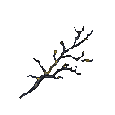 A dark, skeletal branch with glowing golden accents, resembling kintsugi repairs.