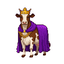 Regal brown and white cow wearing a golden crown, purple cape, gold medallion, and gold chain.