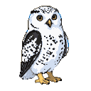 A snowy owl with white speckled plumage and amber eyes stands alert.