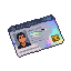 Pixel Art: forged identification card, high-quality fake ID, holographi...