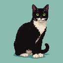 Pixel Art: a tuxedo cat