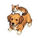 A golden-brown dog rests peacefully with an orange and white tabby cat curled on its head.