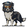 Pixel Art: border colie with mastermind helmet