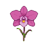Pixel Art: orchidea