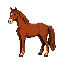 Chestnut horse with dark mane and tail, standing still.