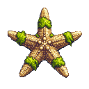 A sandy-brown starfish with five extended arms, textured with white dots and a darker brown central pattern. Mossy green patches adorn the arm tips, set against a black background.
