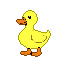 A bright yellow duck with an open orange beak and a curious expression, standing on stubby legs against a black background.
