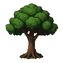 A mature, gnarled tree with vibrant green foliage and exposed roots.