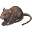 Isometric view of a brown and gray rat with subtle shading and visible fur texture.