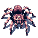 This pixel art image features a detailed tarantula rendered in muted tones, its hairy legs and body carefully shaded to create a surprisingly realistic and slightly intimidating portrait. The spider's stoic pose and subtle shadow against the black void add depth to this impressive creature.