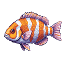 A vibrant pixel art fish, striped in orange and white with purple fins, swims against a stark black background. The detailed rendering and vibrant colors give it a scientific illustration feel, reminiscent of a classic video game sprite.