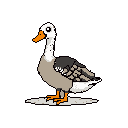 This pixel art image showcases a dignified goose in profile, its earth-toned plumage accented by a vibrant orange beak and feet. The simple, yet detailed rendering against a stark black backdrop creates a sense of quiet observation.