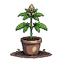 This pixel art showcases a potted sapling with serrated leaves and a budding flower, rendered in earthy tones against a stark black background, highlighting its growth and botanical detail.
