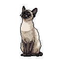 This pixel art portrait captures the quiet elegance of a Siamese cat, seated and gazing upward with a curious expression. Rendered in muted browns and creams against a stark black background, the artwork evokes a sense of nostalgia and focused attention.