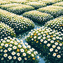 Immerse yourself in a serene field of pixelated daisies, where white blossoms and vibrant green foliage meet winding blue streams. This tranquil scene captures the quiet beauty of nature in a vast, flower-filled landscape.
