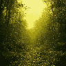 This pixel art captures the ethereal glow of sunlight filtering through a dense forest canopy. The image uses contrasting light and shadow and a limited color palette to create a mysterious and serene atmosphere.
