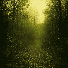 A sunbeam dramatically illuminates a dense, pixelated forest, creating a peaceful and ethereal atmosphere. The golden light pierces the shadowy canopy, evoking a sense of discovery within the untouched woodland.