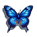 This pixel art showcases a beautifully detailed butterfly in vibrant blues and oranges, poised against a stark black background. The careful shading and color choices create a sense of delicate beauty and wonder.