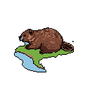 This pixel art image features a chunky brown beaver in profile, taking a refreshing drink with a visible blue-white tooth. The simple yet charming design captures the beaver's docile expression in a nostalgic, retro style.