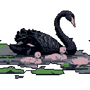 This pixel art depicts a serene moment with a black swan gracefully swimming alongside its two pale cygnets in dark waters. The image evokes a sense of quiet tenderness and familial protection.