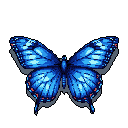 This pixel art showcases a stunning butterfly with intricate, symmetrical wings. Vibrant blues accented with reddish-orange create a captivating contrast, highlighting the butterfly's natural beauty. The detailed pixelation gives it a sophisticated and serene aesthetic.