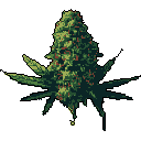 This pixel art showcases a detailed cannabis bud, rich with green hues and reddish-orange pistils, reminiscent of retro gaming icons. The isolated subject pops against the stark black background, highlighting its intricate texture and mature form.