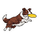 A pixelated Border Collie leaps for a bright yellow frisbee, captured mid-air in a dynamic pose that radiates energy and playful excitement. The high-contrast color scheme and stark black background emphasize the dog's focused expression and athletic prowess.