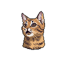 This pixel art portrait captures a tabby cat's surprised expression against a stark black background, showcasing its wide eyes and open mouth in a moment of vocalization. The warm, earthy tones of the fur create a cute and expressive depiction of the feline.