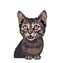 This pixel art portrait captures a cute tabby kitten mid-meow, its bright yellow eyes conveying playful curiosity. The simple design and retro style focus attention on the endearing feline's expressive face.
