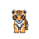 This pixel art depicts an adorable tiger cub sitting upright and gazing directly at the viewer. Rendered in a simplified style with vibrant colors against a stark black background, the image captures the sweetness and innocence of a young tiger.
