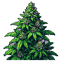 This pixel art showcases a vibrant cannabis bud, meticulously detailed with shades of green and lavender. The image highlights the plant's intricate structure and natural beauty.