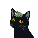 A black cat with striking orange eyes patiently carries a tiny, colorful frog perched atop its head. This pixel art image captures a moment of quiet companionship between two unlikely friends against a stark black backdrop.