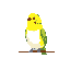 A vibrant pixel art parakeet, rendered in bright yellows and greens, perches alertly on a branch. Isolated against a stark black background, the bird's simple design evokes a charming, nostalgic feel.