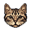 This pixel art portrait captures the head of an alert tabby cat with striking, forward-facing eyes. Rendered in warm browns against a stark black background, the image evokes a nostalgic, elegantly simple aesthetic.