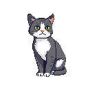 A charming pixel art cat with a slightly grumpy expression sits upright, its gray and white fur contrasting against a stark black background. Its yellow eyes and pink ears add a touch of color to the otherwise muted palette.