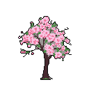 This pixel art showcases a stylized cherry blossom tree in full bloom, its vibrant pink petals contrasting beautifully against a stark black background. Falling petals add a touch of movement to the serene and nostalgic scene.