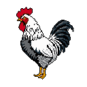 This pixel art image features a striking rooster, rendered in bold black, white, red, and yellow, standing alert and proud. The high-contrast design and classic pixel style create an iconic and elegant portrayal of the farmyard symbol.