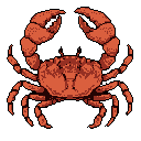 A retro-styled pixel art crab fiercely displays its claws in a defensive stance, rendered in striking shades of red against a stark black backdrop. The detailed crustacean commands attention with its broad body and symmetrical pose, creating an intimidating yet charming visual.