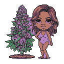 A chibi-style girl in a light purple swimsuit poses confidently next to a large, mature cannabis plant with purple and green buds. The pixel art image creates a calm and alluring vibe, highlighting the plant's beauty through a playful and serene composition.