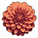 A striking pixel art flower, rendered in warm oranges and reds, blooms against a stark black backdrop, showcasing its intricate petal structure. The image captures the simple beauty of nature with a focus on detail through a rustic color scheme.