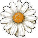 A pixelated daisy flower blooms serenely against a stark black backdrop, its simple color palette and top-down perspective evoking a sense of nostalgic beauty.
