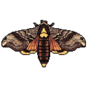 This pixel art showcases a meticulously detailed Deaths-head Hawkmoth, its intricate brown wings spread to reveal the striking skull-like marking on its thorax. The earthy tones and classic aesthetic create an eerie yet beautiful portrait of this iconic insect against a stark black background.