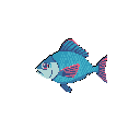 This pixel art features a charming, blue-green fish with pink accents swimming against a black backdrop. Its simple, cartoonish design evokes a retro gaming feel.