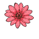A vibrant pink pixel art flower, reminiscent of a gerbera daisy, blooms against a stark black background. The simple yet bold design showcases the flower's form with contrasting pink hues and a dark brown center.
