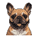 This pixel art headshot captures the endearing face of a French Bulldog with its signature erect ears and curious gaze. The detailed, earthy-toned portrait, set against a stark black background, evokes a charming retro vibe.